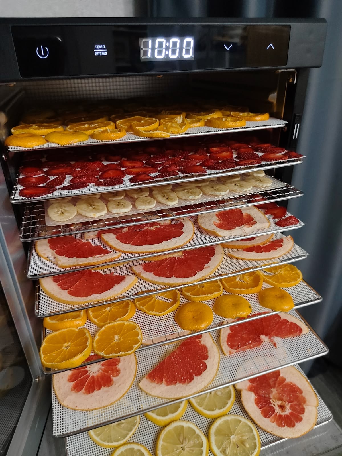 Máy sấy lạnh chuyên dụng với khay cam, dâu, chuối, bưởi